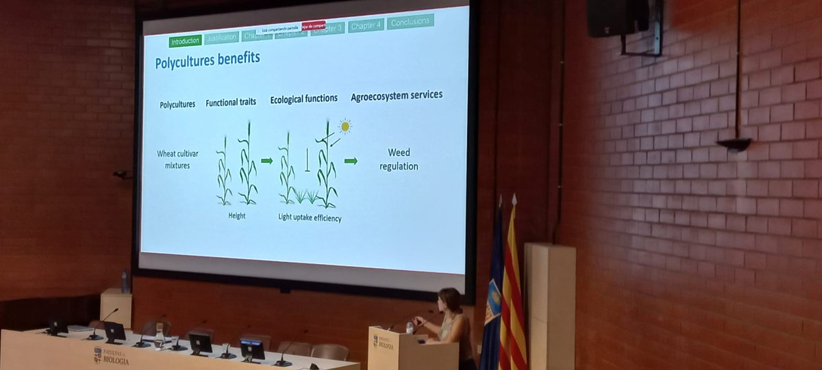 IRBioUB (@irbioub) on Twitter photo 🎓🌱 Defensa de tesi de l'Alba Tous a la Facultat <a href="/BiologiaUB/">Facultat de Biologia UB</a> ! Policultures i els seus beneficis: regulació de males herbes, millora de l'eficiència de la llum i funcions ecològiques essencials. 👩🔬🌾 🎓🌱 Defensa de tesi de l'Alba Tous a la Facultat <a href="/BiologiaUB/">Facultat de Biologia UB</a> ! Policultures i els seus beneficis: regulació de males herbes, millora de l'eficiència de la llum i funcions ecològiques essencials. 👩🔬🌾