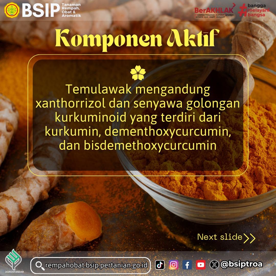 brmprempahobat's tweet image. #SobaTROA Tau tidak manfaat temulawak untuk kesehatan sudah sejak lama dikenal masyarakat Indonesia. Berkat kandungan berbagai senyawa alami di dalamnya.
Simak #LibraryUpdate berikut ini yaa...
#rempah
#tanamanobat
#temulawak
#agrostandar