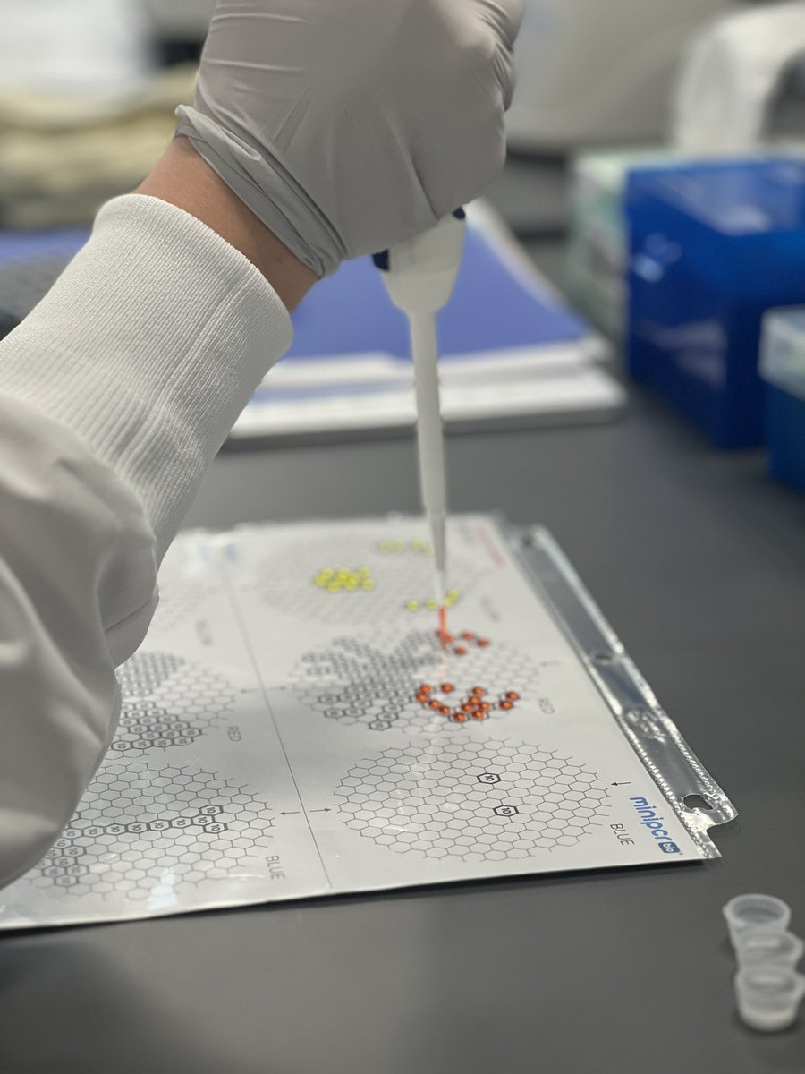 Medical Laboratory Education of Maine tweet media