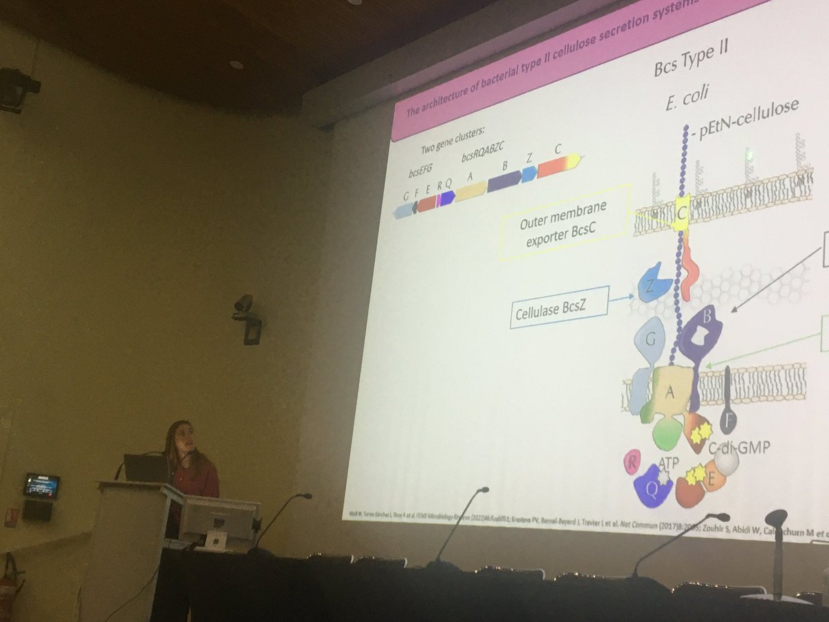 CascalesLab's tweet photo. Superb talk by Itxaso Anso from @krastevalab on the structural characterization of the type II cellulose secretion system. #SecretionDays https://t.co/h2yuALqFbF