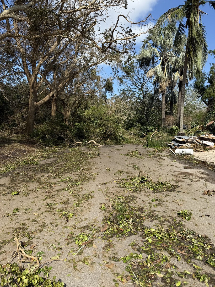 MDTaylor54's tweet photo. #LBK #LongboatKey - If you plan to come to Bay Isles Harbor today to check on your property, please be aware that as of 5:30 am the entrance road is still IMPASSABLE by car or foot due large several large trees across the roadway. You will need to park along GMD and walk in. https://t.co/lbWXUxZDcU