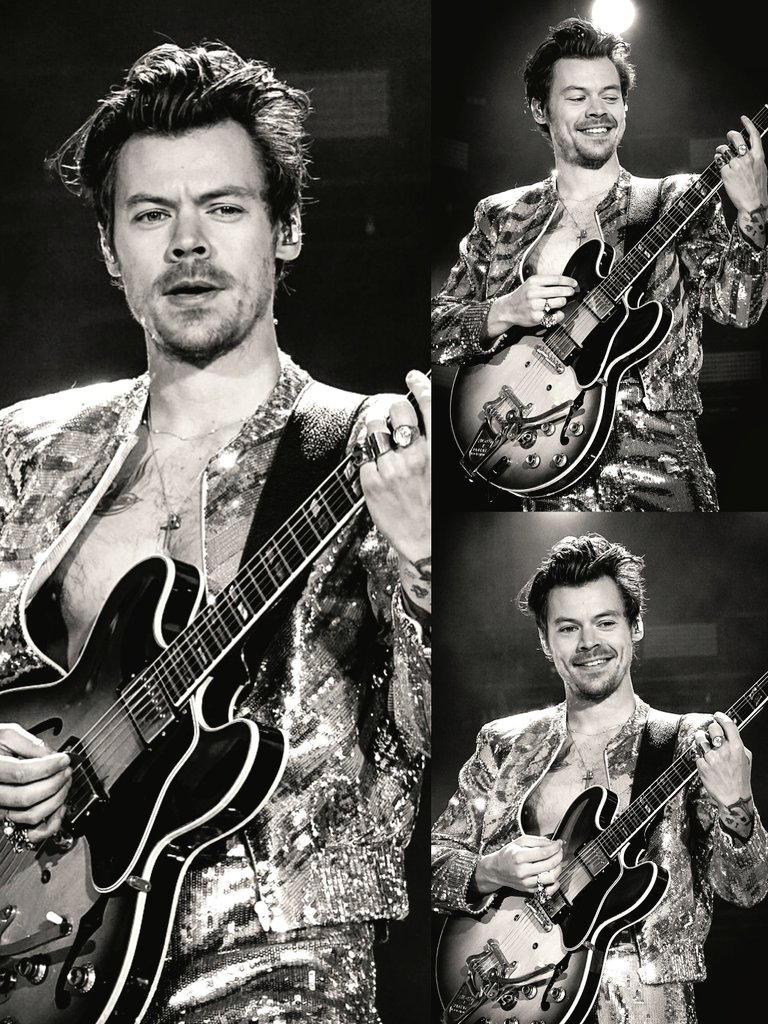 daily harry tweet media