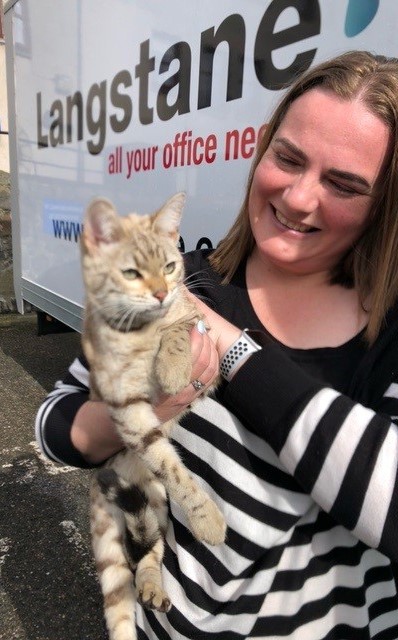 Meet Milly our new "Fur"niture fitter...

While our Furniture team were delivering to a customers home, Milly decided to stow away in the back of our van and travel approx 25 miles before being noticed!

The team we able to get Milly safely back to her very pleased owner Sandra!