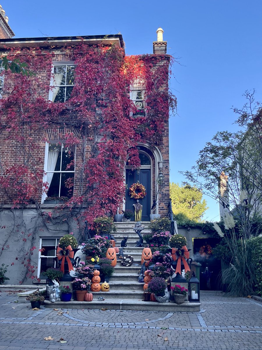 Sarah Bowman (@bowmanmatson) on Twitter photo Pretty Dublin today 🎃 Pretty Dublin today 🎃