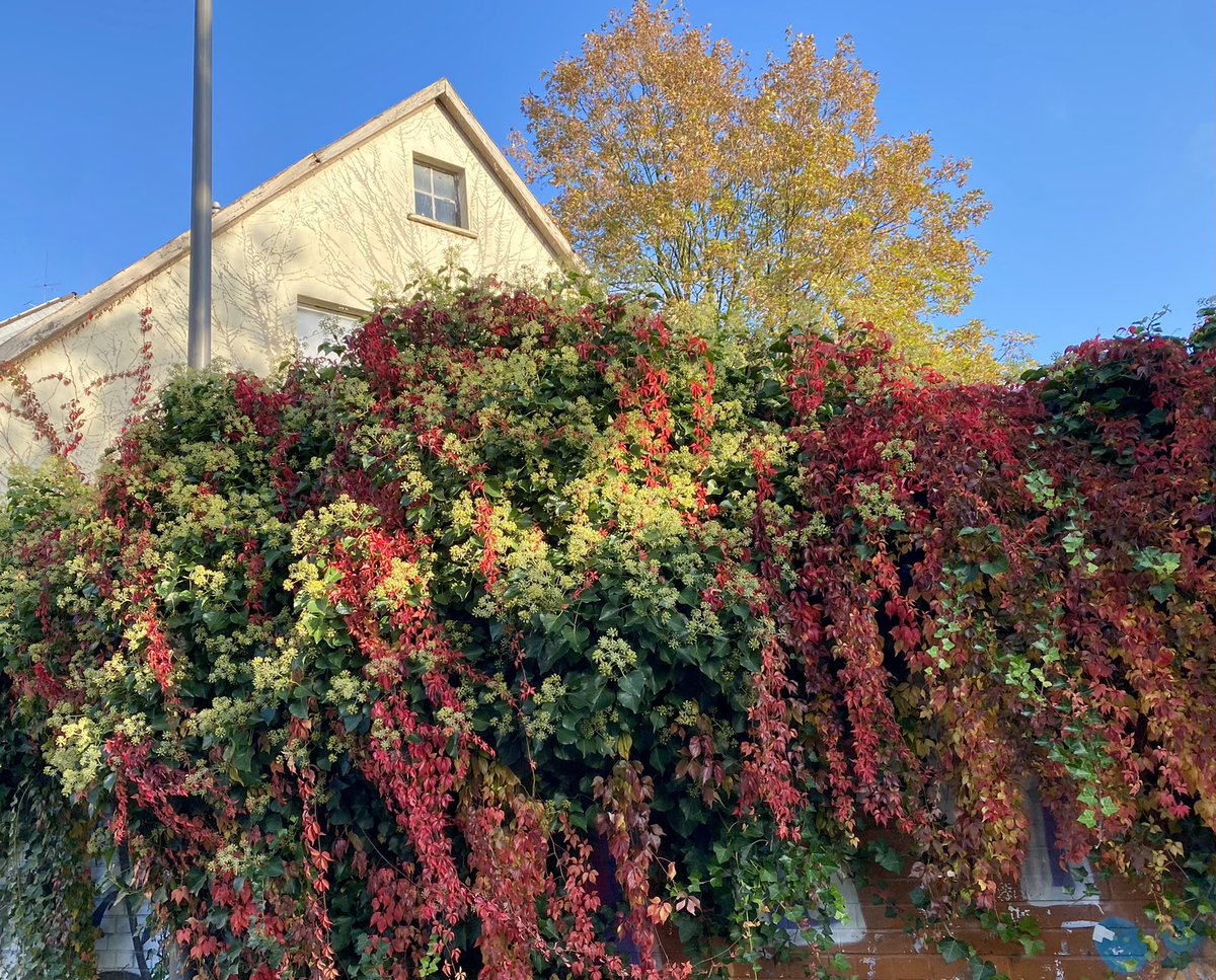 Herbst in Wuppertal 🍁🍂