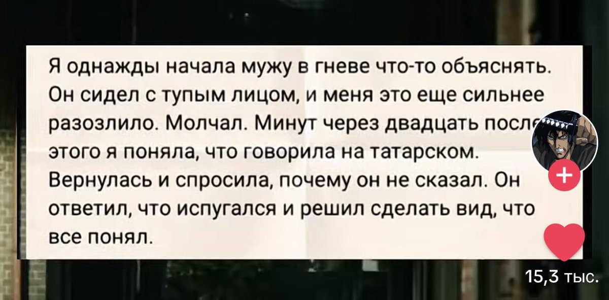 Judas_na_kreste's tweet photo. простите, но это сероволки https://t.co/QHyu0nR9T6