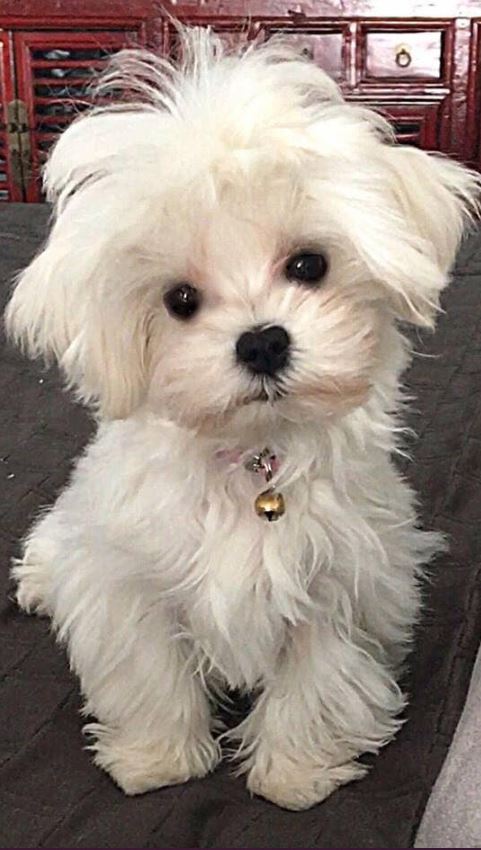 Can i get a ❤️ ...? Just one!