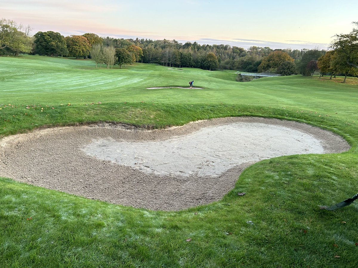 Daniel Robson tweet media