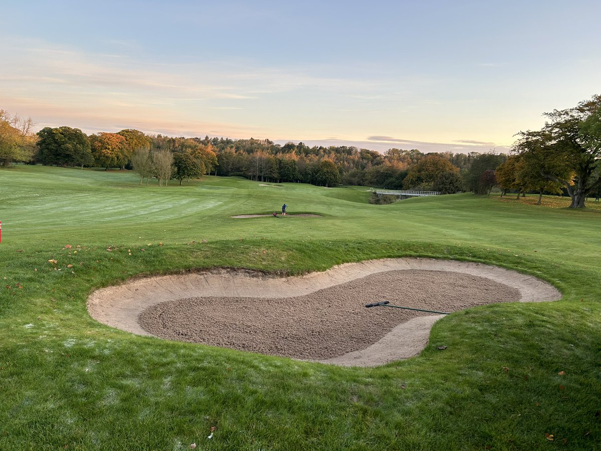 Daniel Robson tweet media