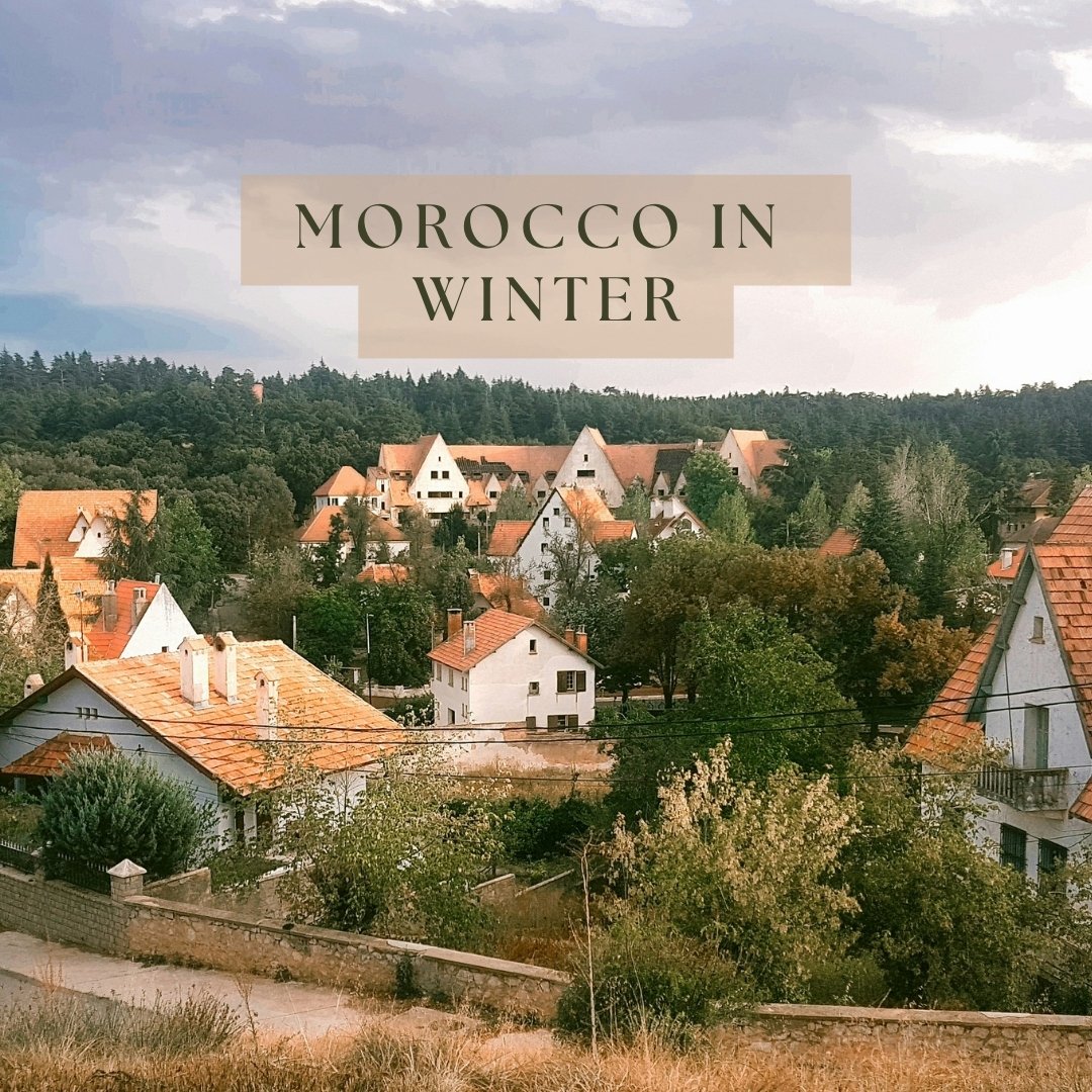 3tMorocco's tweet photo. #tour #morocco #trip #Food #Fes #Marrakech #tagine #photography #camel #desert #camping #deserttour #january #2025year #TravelSmart #TravelInspiration #travelphotography

https://t.co/Z6L3nRTsTm https://t.co/V8l7iQFhkJ