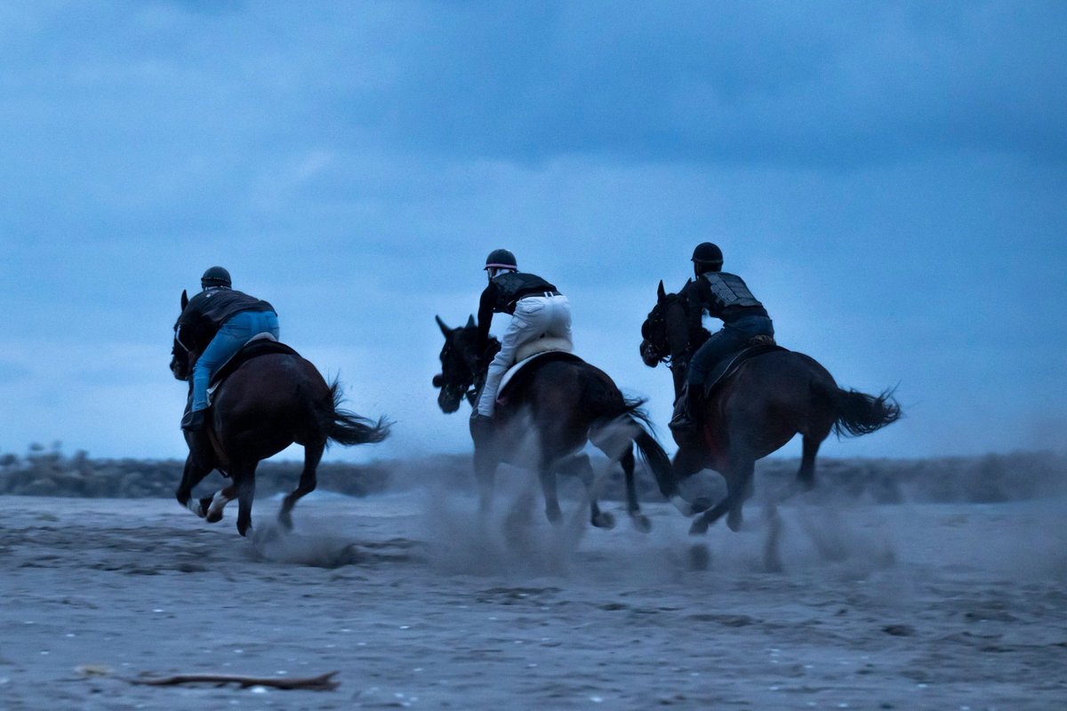 実は先日、久しぶりに南相馬行ってきました🐴
明日は鎌ヶ谷行ってきます🐴🐴