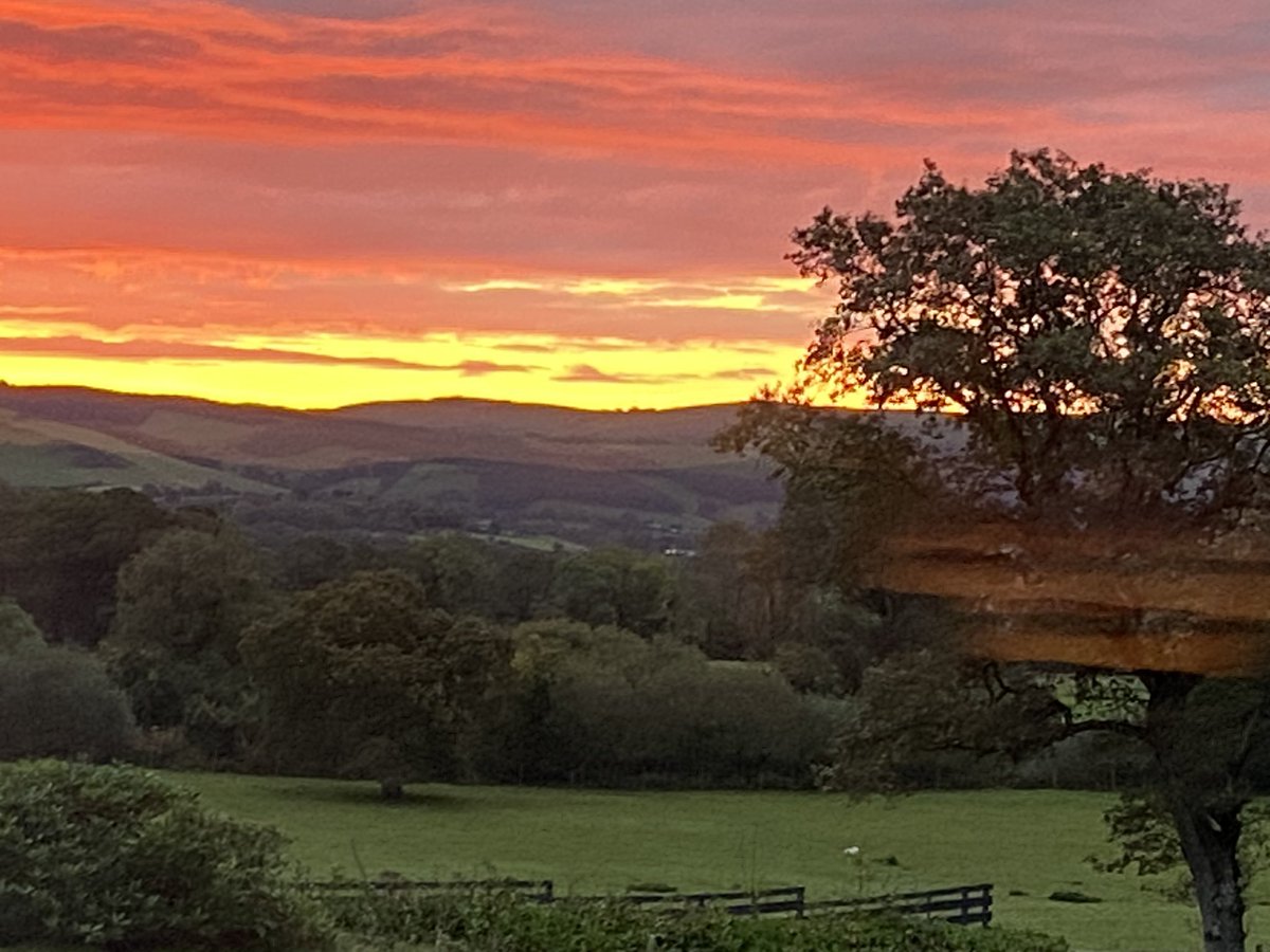 Wyn Morris tweet media