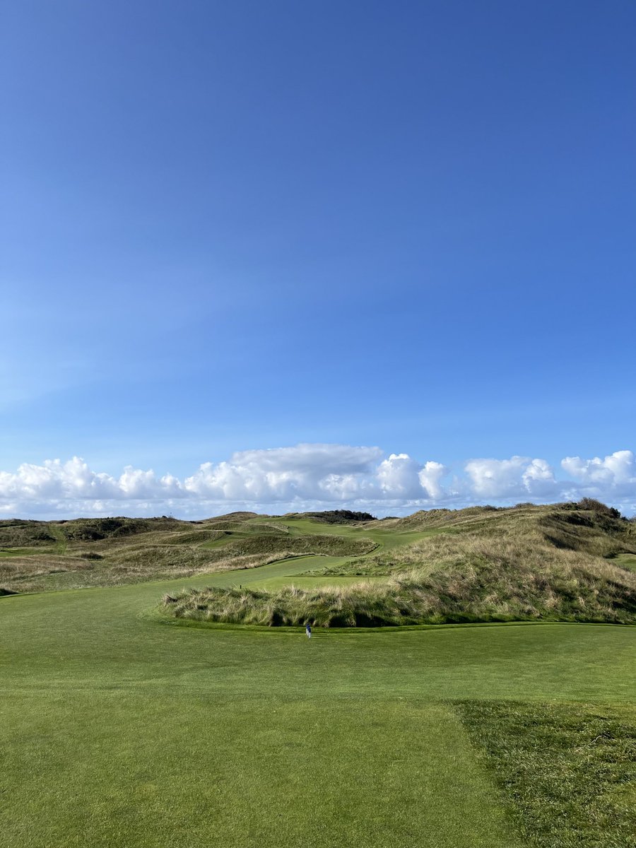 Andrew Williamson tweet media