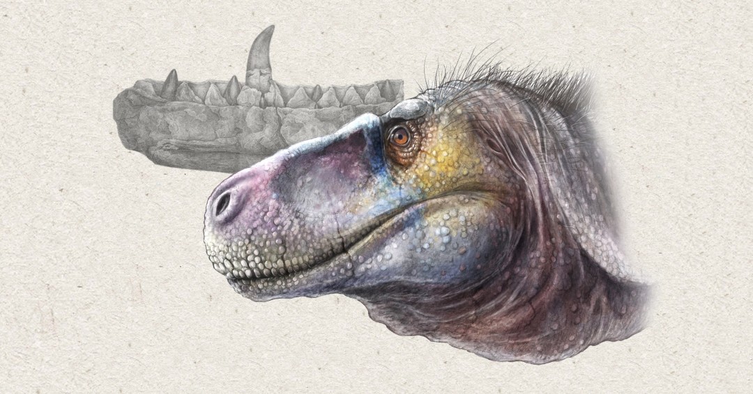 @PalaeoStephan presents a series of #articles to accompany the #exhibition "Bringing #dinosaurs back to life: 200 years of research".

ow.ly/fyIe50TJtA2

Be sure to visit this new space <a href="/unibirmingham/">Uni of Birmingham</a> and celebrate the bicentennial of the naming of the first #dinosaur!