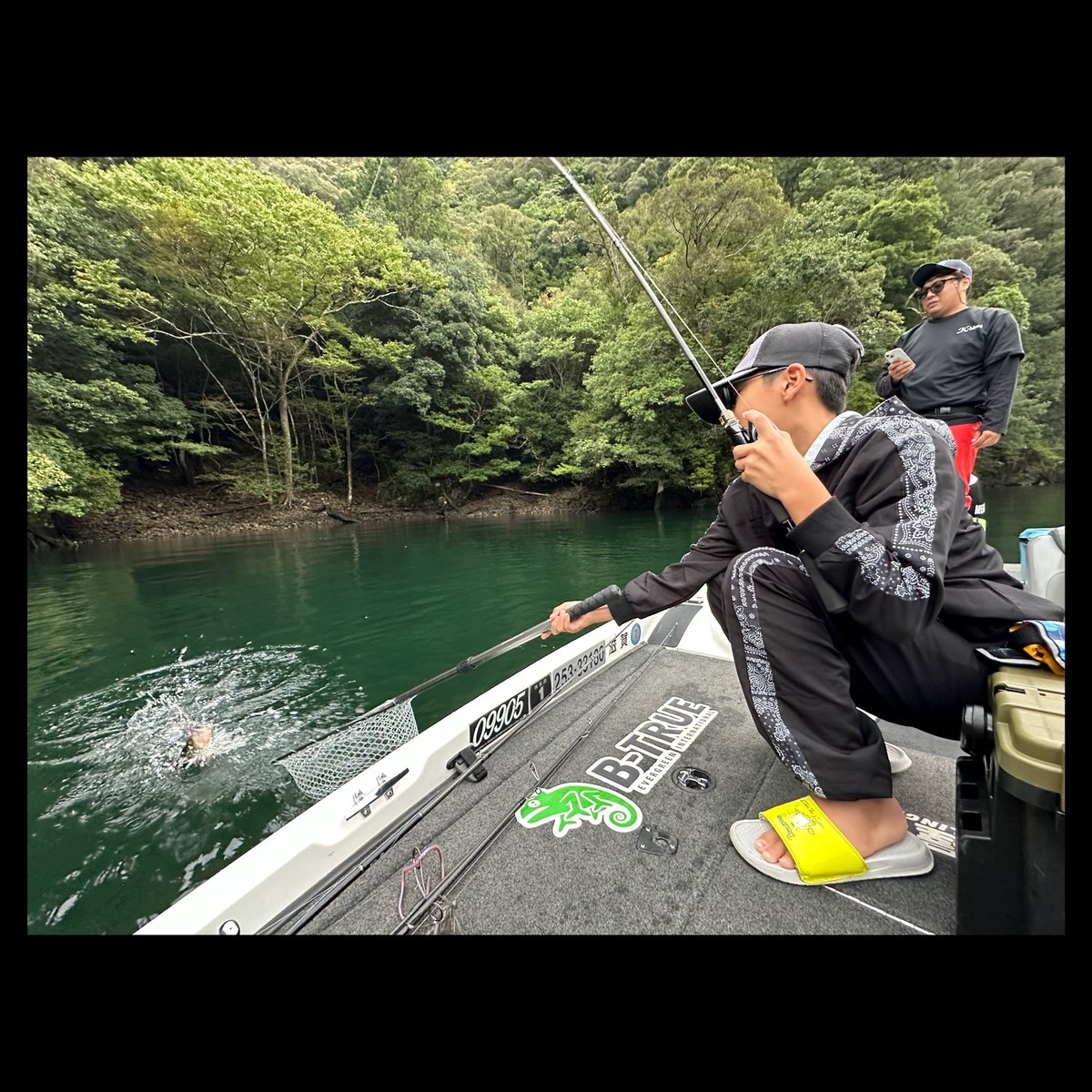 mira0320bass's tweet photo. 10月.11月もMIRAガイドサービス募集中です❗️
気温も下がって秋っぽい🍂
チャターやクランク、スピナーベイトなどが調子よくなってきます🎣
七色ダムだけでなく
最近かなり釣れてる日吉ダムでもガイド募集してますので是非お問い合わせお待ちしております🙇♂️
#MIRAGuideService
#ミラガイドサービス https://t.co/ydPcjGxpJ0