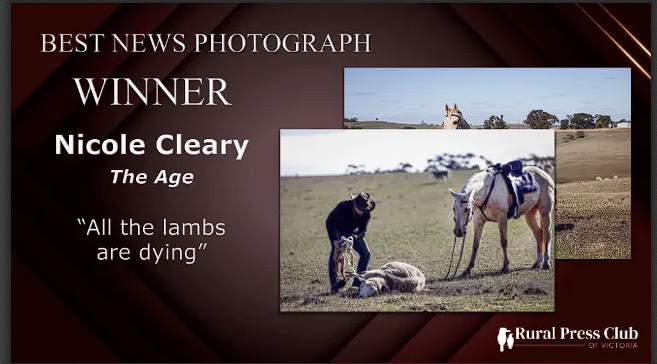 Congrats to winner of the #RPCVAwards 2024 Best News Photograph:  Nicole Cleary of The Age.