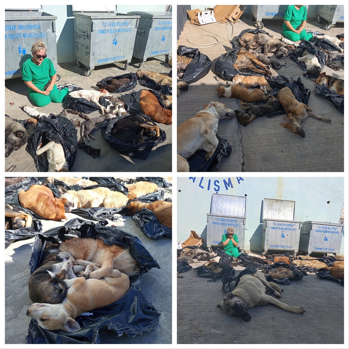 Gebze belediye başkanı!
Hayırlı Cuma derken, Allah’ın adını ağzına alırken kıyılan bu canların vebali 7 Sülalenin üstüne olsun!
Eğer Cumalar hayırlıysa bu hayırlı günde bedduam bu vahşete sebep olan, izin veren, gerçekleştirenlerin  çokluğu çocuğu üstüne olsun!
#GebzedeKatliamVar