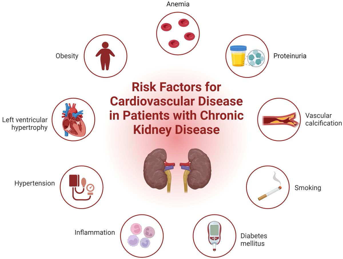 #RCM Volume 25 / Issue 10 - Review

"#Cardiovascular Disease in Chronic #Kidney Disease: Implications of #Cardiorespiratory #Fitness, Race, and Sex" from <a href="/golliejm/">Jared Gollie, PhD</a>, and <a href="/GaurangaMD/">Gauranga Mahalwar, MD</a> 

#CVD #CKD 

Full Text:
imrpress.com/journal/RCM/25…