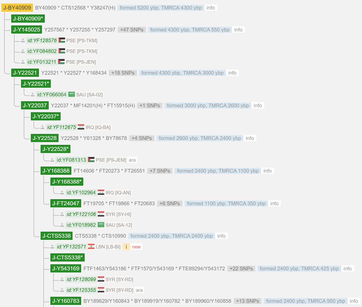 j2b-M205 tweet media