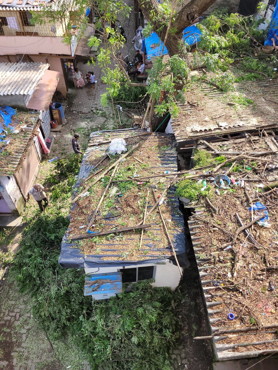 vasimohammedsa2's tweet photo. Is this allowed to cut down the whole tree just for the sake of land encroachment etc...?
@mcgm
@MCGM_BMC 
@MumbaiPolice 
@CPMumbaiPolice
@DGPMaharashtra 
@CMOMaharashtra
@bmc https://t.co/bJqfezdr9l