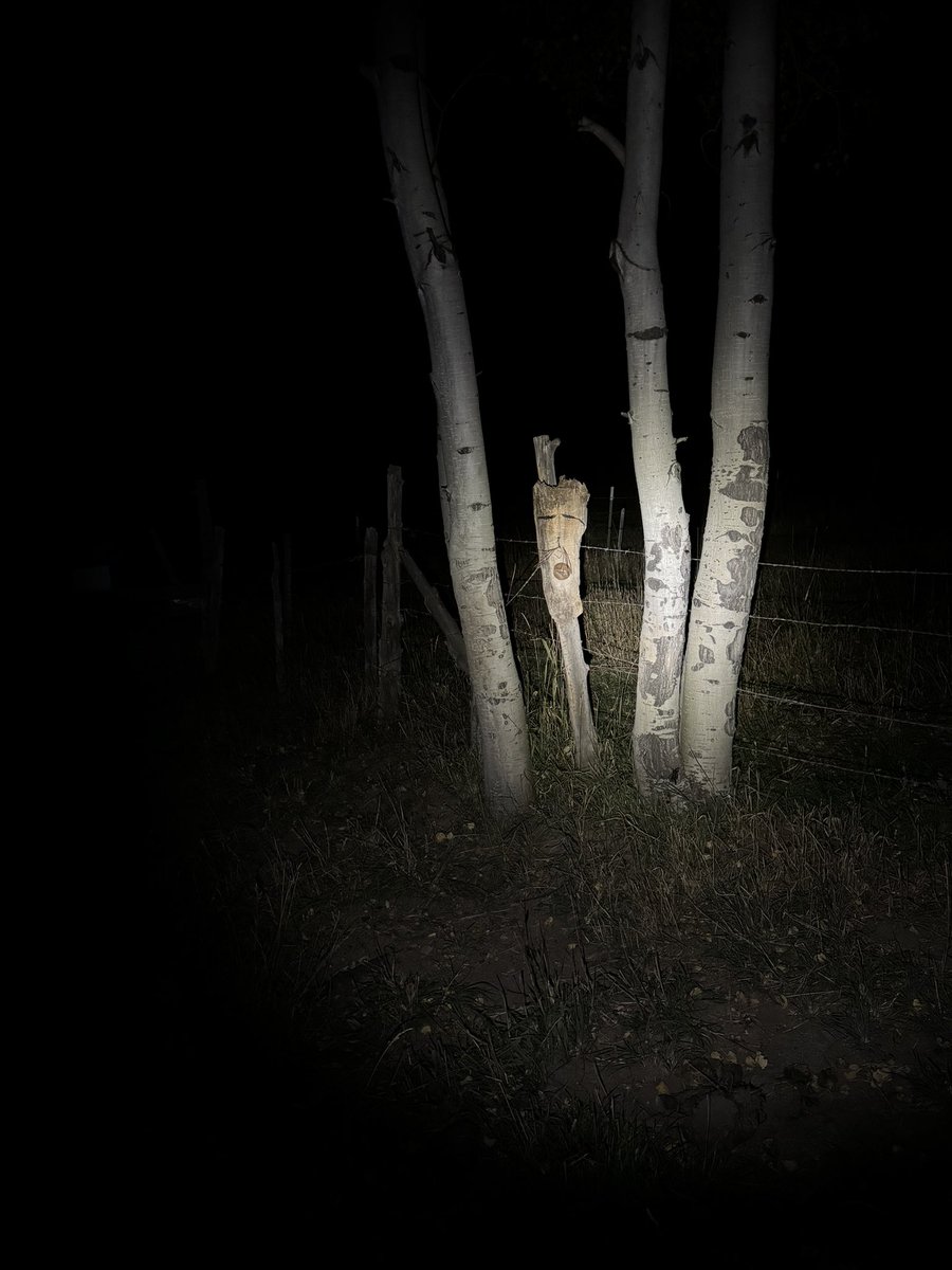 seanmaddoxart's tweet image. Staying in Silt, Colorado for a bit. Help out on the ranch and do art:)
#art #siltcolorado #visitingartist #novascotianfolkart #lyjranch @LyjRanch 

instagram.com/stories/second…