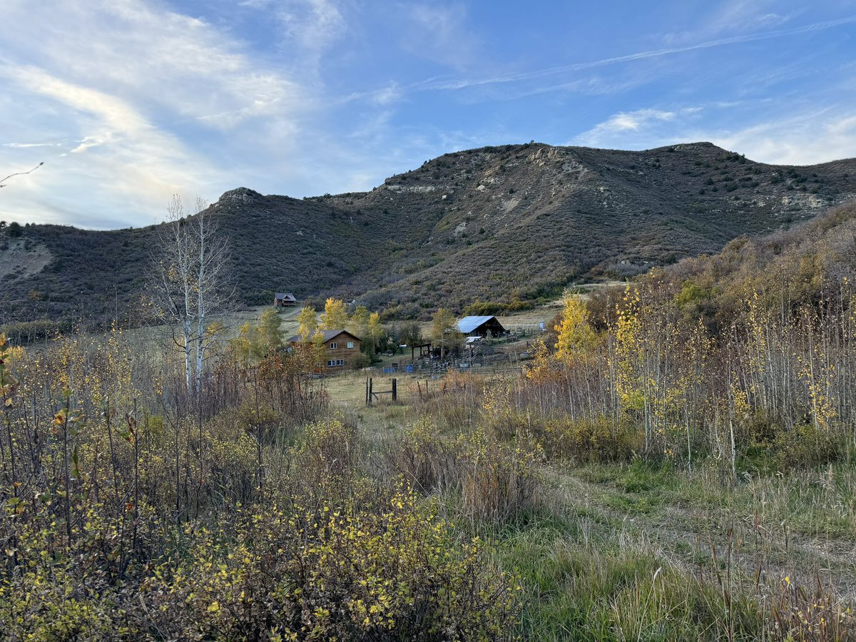 seanmaddoxart's tweet image. Staying in Silt, Colorado for a bit. Help out on the ranch and do art:)
#art #siltcolorado #visitingartist #novascotianfolkart #lyjranch @LyjRanch 

instagram.com/stories/second…