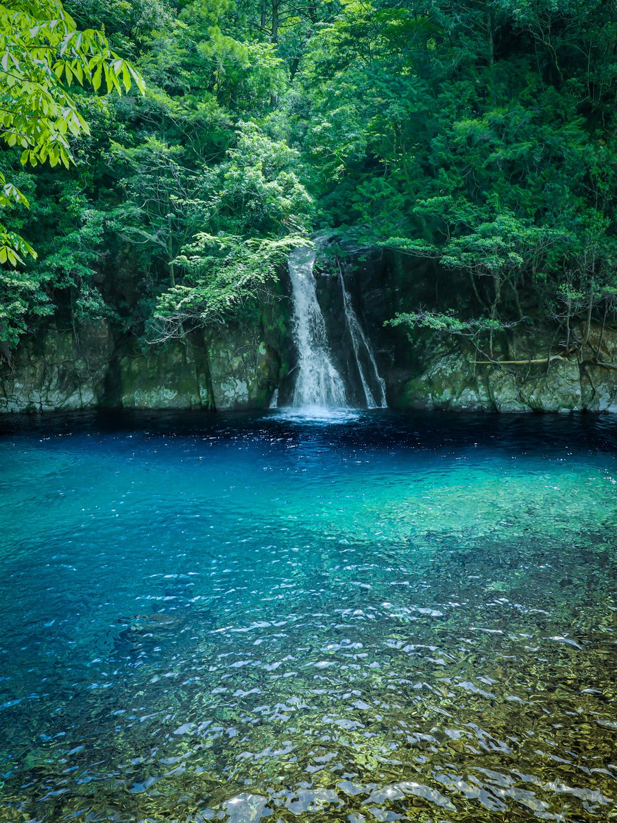 体力を回復しますか？

 ▶︎ はい
     いいえ