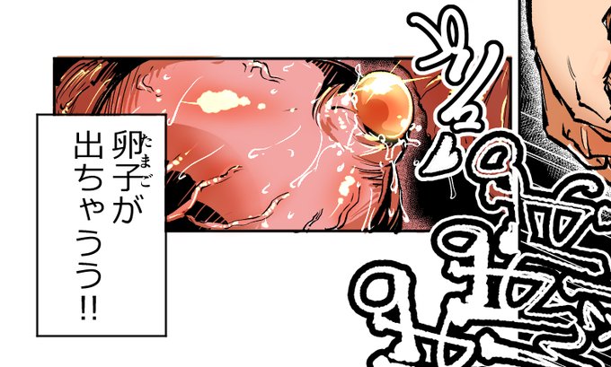 卵巣には黒海苔を貼らなくても許されるからね 