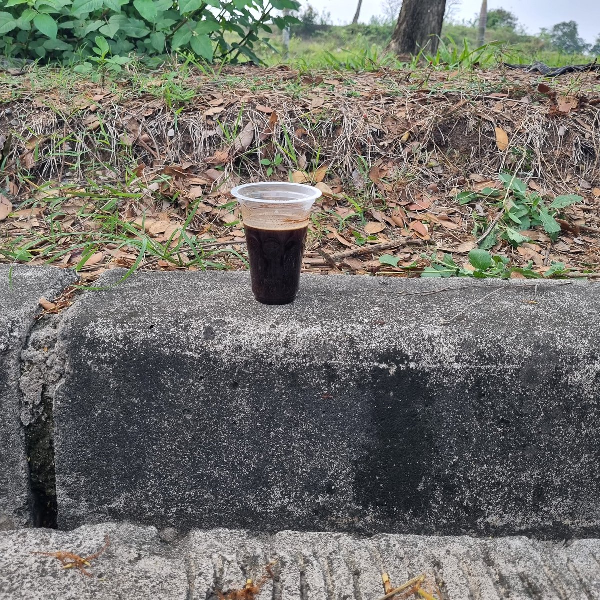 PrasterPeter's tweet image. Hanya dia teman dalam susah dan senang