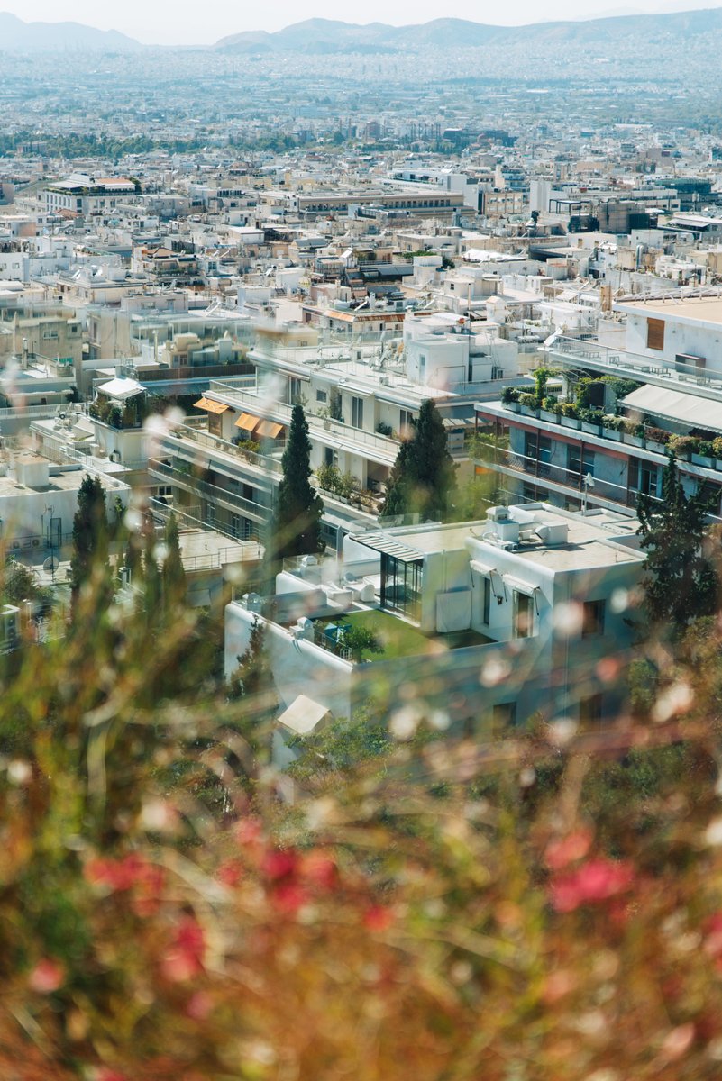 Rachel Flowerday tweet media