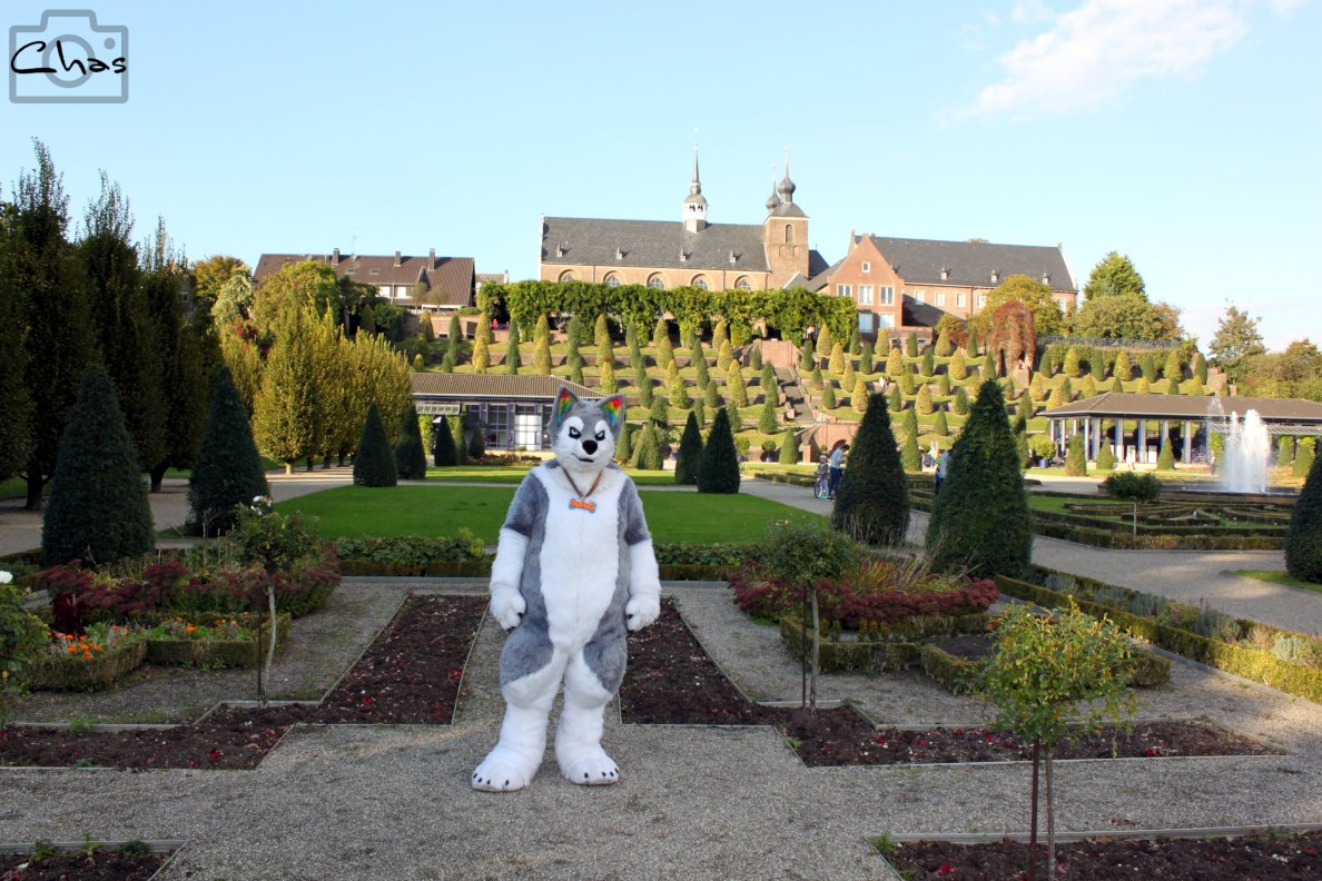 cultural trip to Kamp Abbey with its terraced gardens

But it's not everyday you see a floofy husky promenading around - so many visitors have yet another story to tell...

🌍  openstreetmap.org/way/23463032
📸 <a href="/SpotterChas/">Spotter.Chas</a> 

#fursuiter #klosterkamp #kampabbey #fursuiteveryday