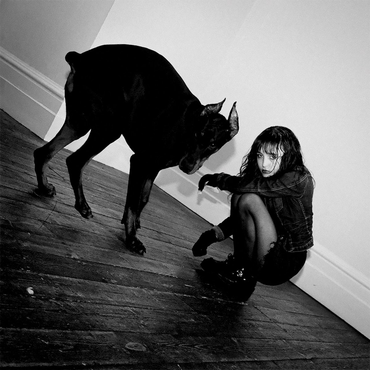 velvetine (@velvetineband) on Twitter photo It’s out.
Go listen to “Traces” now.
phot. Hannah Mason
recorded at @climaxfullstop
mixed by <a href="/christostler/">Chris Ostler</a>
on the cover Mia and King 🖤 It’s out.
Go listen to “Traces” now.
phot. Hannah Mason
recorded at @climaxfullstop
mixed by <a href="/christostler/">Chris Ostler</a>
on the cover Mia and King 🖤