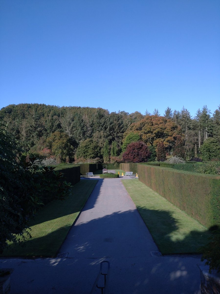 Andy Salisbury (@andrewsalisbur2) on Twitter photo Good morning from <a href="/RHS_Rosemoor/">RHS Garden Rosemoor</a> Good morning from <a href="/RHS_Rosemoor/">RHS Garden Rosemoor</a>