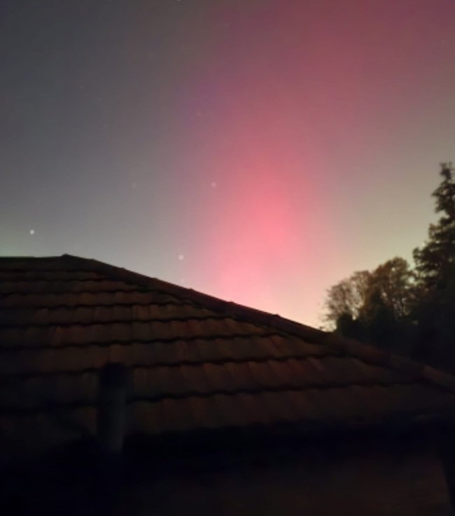 🗿📡🌱🫛🚴‍♂️David🏴󠁧󠁢󠁷󠁬󠁳󠁿 tweet media