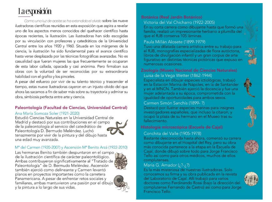 Los fondos del Archivo de la UCM han servido, entre otros muchos, para llevar a cabo la exposición "Ilustradoras científicas en la sombra", vinculadas a la Universidad Central entre los años 1920-1960. Podéis visitarla en el Jardín Botánico Alfonso XIII. Adjuntamos el díptico 👇