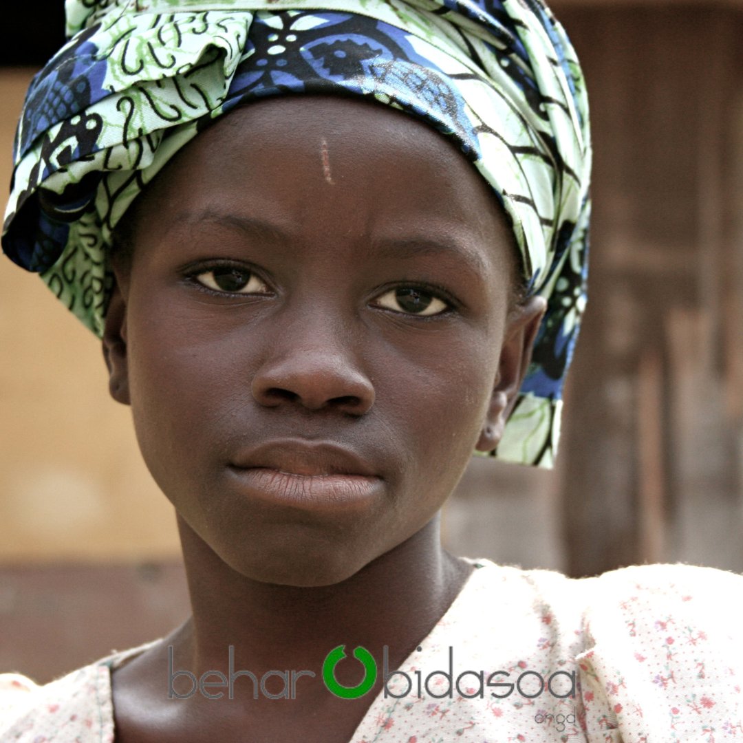 Behar Bidasoa tweet media