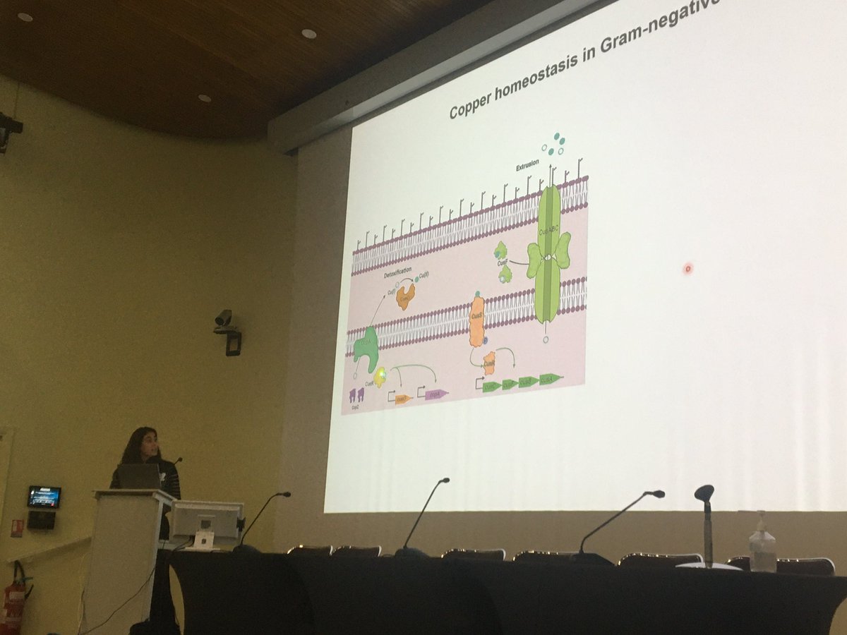A great talk to close the #SecretionDays meeting: Majda Hachmi from Françoise Jacob-Dubuisson’s lab explained how Bordetella pertussis acquires copper .