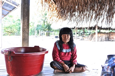 #Noticias Plantón de organizaciones indígenas en  Perú 🇵🇪, por el respeto de sus derechos y territorios 🍃🌳

#PueblosIndígenas #Derchosalatierra 

👉landportal.org/es/news/2024/1…