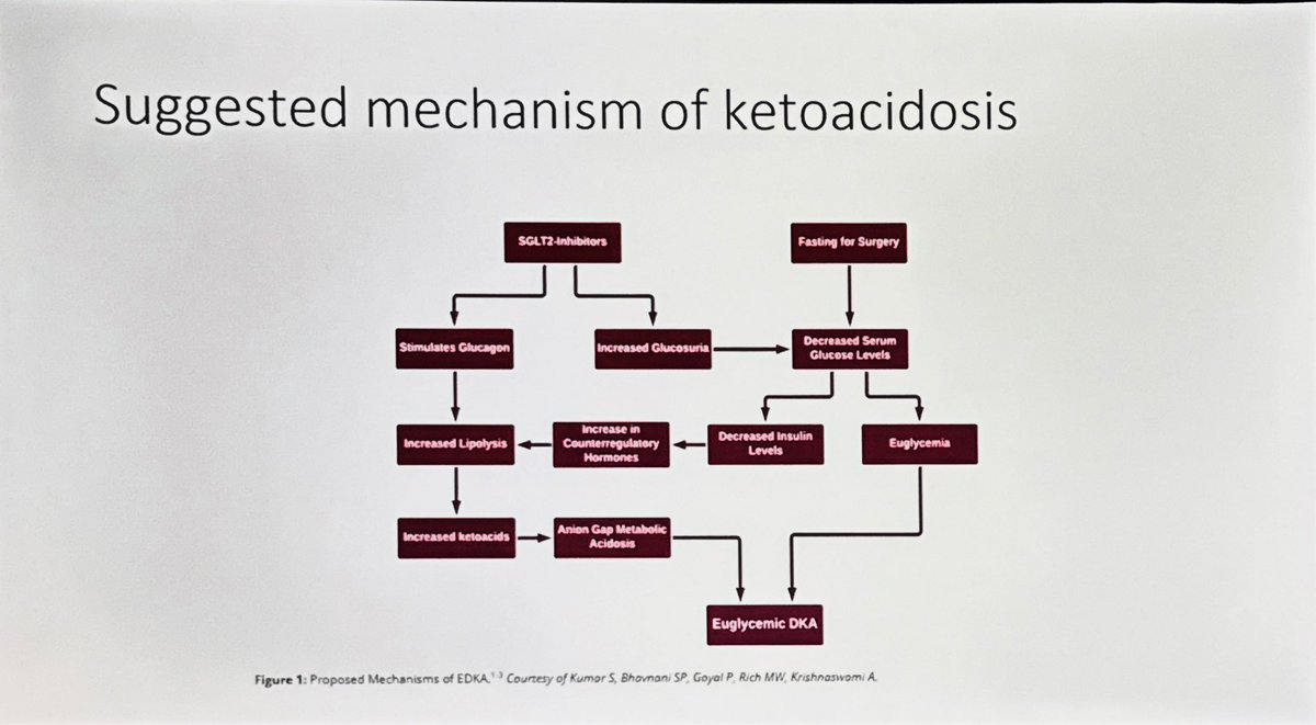 Jonny Wilkinson (@wilkinsonjonny) on Twitter photo SGLT2’s
Ketosis is an issue….particularly when starved already!
#11EMCCPMC #FOAMed #POCUS #FOAMcc #medtwitter
@Cheapoflurane <a href="/caz_sampson/">Caz Sampson</a> <a href="/MedicalMidlands/">Midlands Medical Conferences CIC (Not for Profit)</a> SGLT2’s
Ketosis is an issue….particularly when starved already!
#11EMCCPMC #FOAMed #POCUS #FOAMcc #medtwitter
@Cheapoflurane <a href="/caz_sampson/">Caz Sampson</a> <a href="/MedicalMidlands/">Midlands Medical Conferences CIC (Not for Profit)</a>