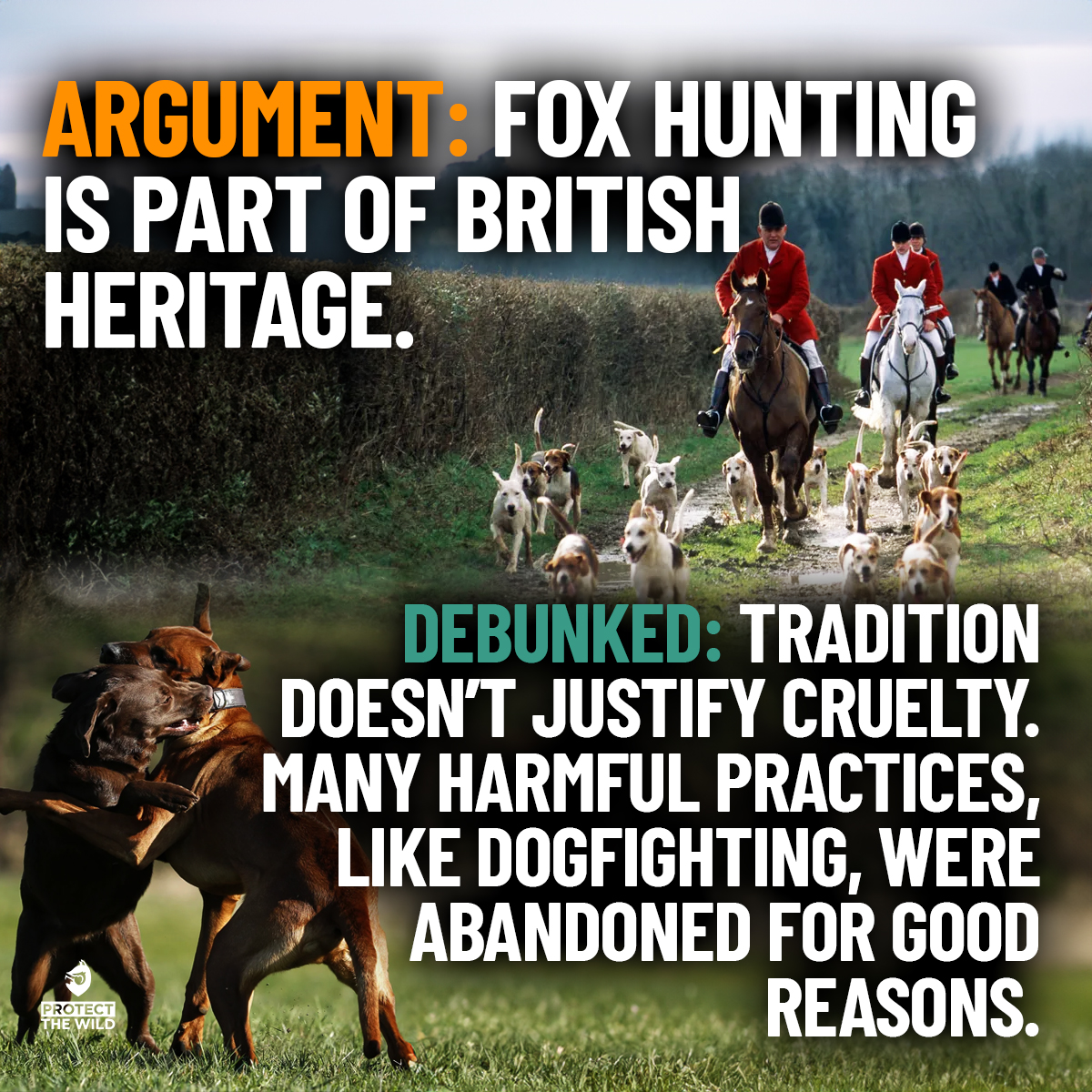 ProtectTheWild_'s tweet image. SHARE if you agree!