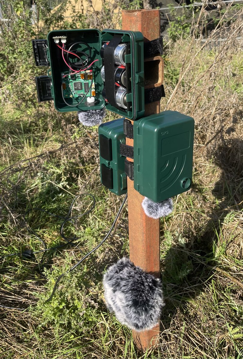 Open Acoustic Devices (@openacoustics) on Twitter photo Testing the latest AudioMoth infrasonic developments for the WILDLABS Awards 2024 with the elephants <a href="/ZSLWhipsnadeZoo/">Whipsnade Zoo</a> today. For project updates check out <a href="/WILDLABSNET/">WILDLABS Community</a> wildlabs.net/discussion/wil… Testing the latest AudioMoth infrasonic developments for the WILDLABS Awards 2024 with the elephants <a href="/ZSLWhipsnadeZoo/">Whipsnade Zoo</a> today. For project updates check out <a href="/WILDLABSNET/">WILDLABS Community</a> wildlabs.net/discussion/wil…