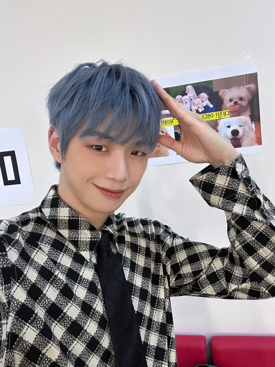 kd_officialx's tweet photo. [📸] 241011 <케이팝업 차트쇼> 완료💓

#강다니엘 #KANGDANIEL
#케이팝업차트쇼 https://t.co/bV6SdQqhL7