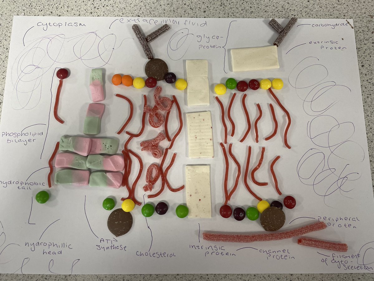 Biology at King's tweet media