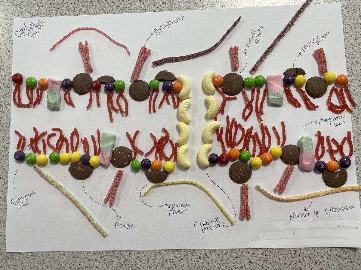 A tasty lesson today! Year 12 embracing the new learning habit ‘creativity’!