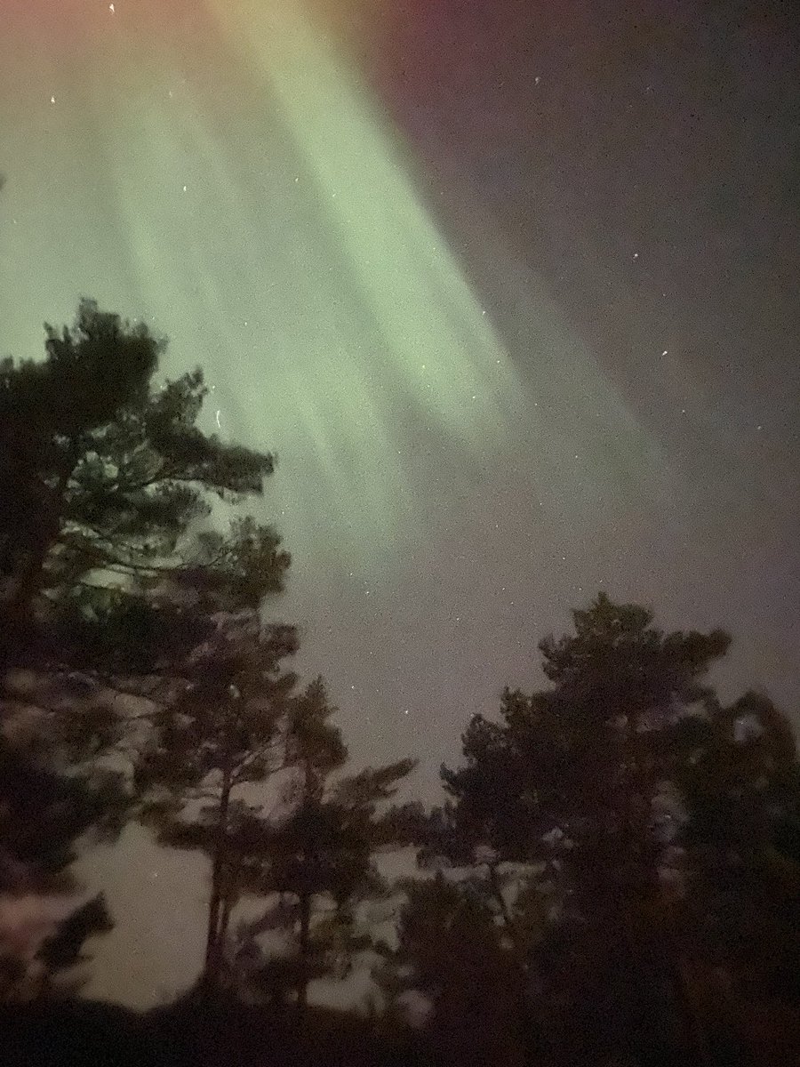 Last night was my first time seing the aurora borealis:)