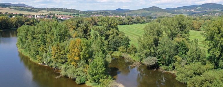 Více než stoleté vrby a topoly černé, živé i odumírající stromy,  na šest stovek druhů motýlů a brouků, bobři, ledňáčci,  morčáci velcí, slavíci a štěrkové ostrovy v Labi. To je nová přírodní rezervace Píšťanský luh nedaleko Lovosic. Vyhlášena byla tento týden.