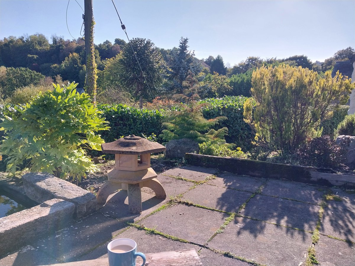 A #cuppa in the sunshine 🌞 

<a href="/MilesTeaCoffee/">Miles Tea & Coffee</a> #Sticklepath #Taking5 #happydays