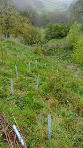 CJS News (@countrysidenews) on Twitter photo 8,000 hectares of land in Herefordshire supporting climate resilience - <a href="/HerefordshireWT/">Herefordshire Wildlife Trust</a> c-js.uk/3Nn49Mw 8,000 hectares of land in Herefordshire supporting climate resilience - <a href="/HerefordshireWT/">Herefordshire Wildlife Trust</a> c-js.uk/3Nn49Mw