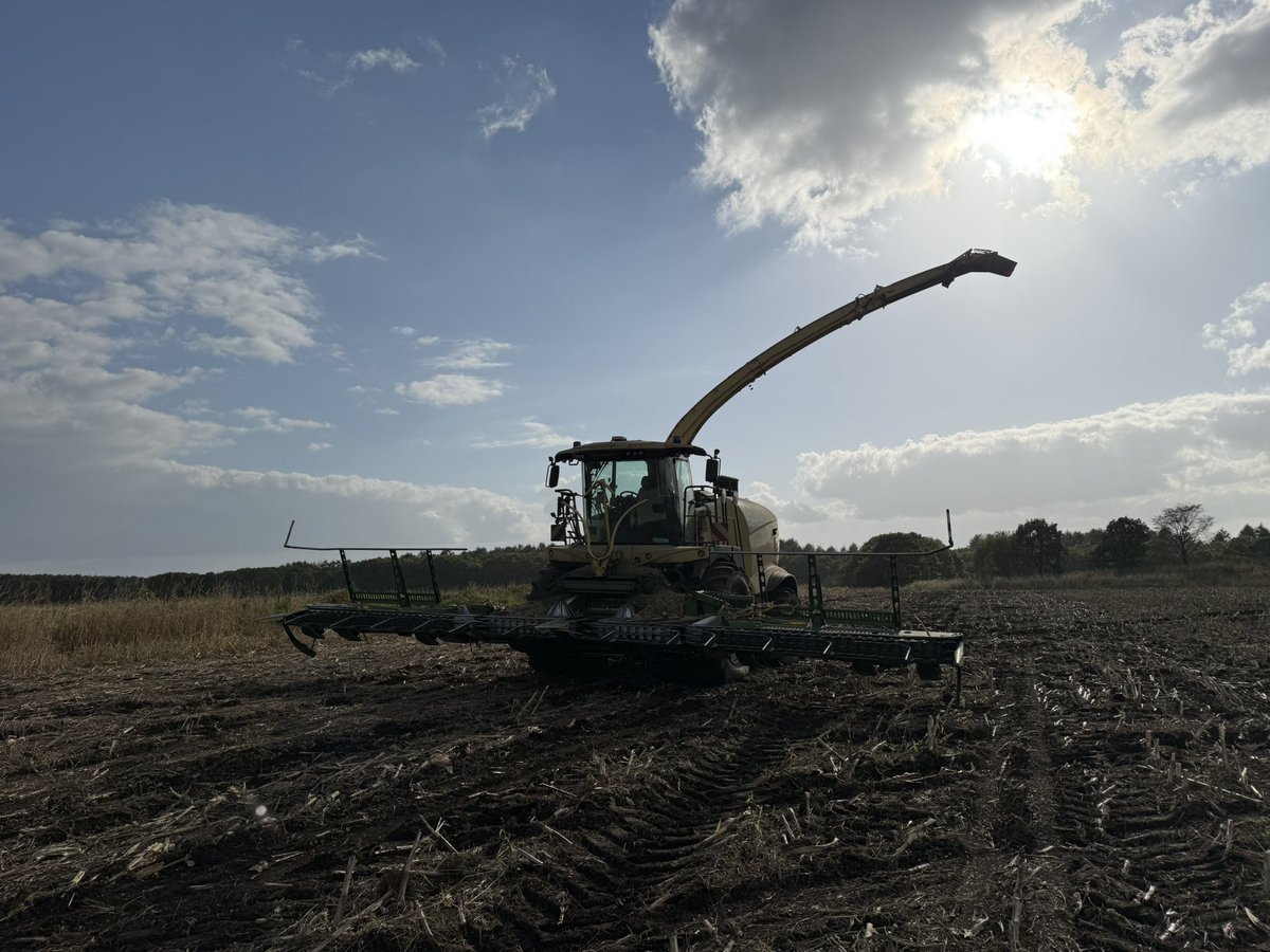 デントコーン終了🌽　僕の早番も終了‼️でも
2番草残ってるという、、、　焼肉いきたい