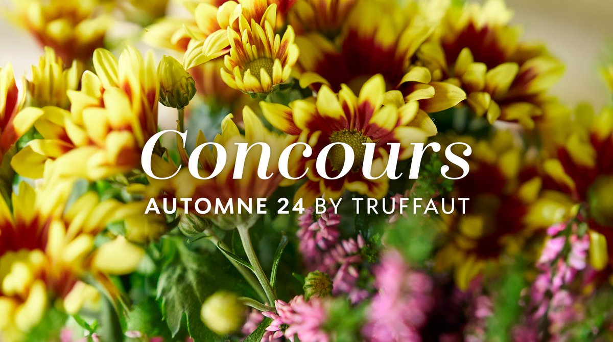 Truffaut tweet media